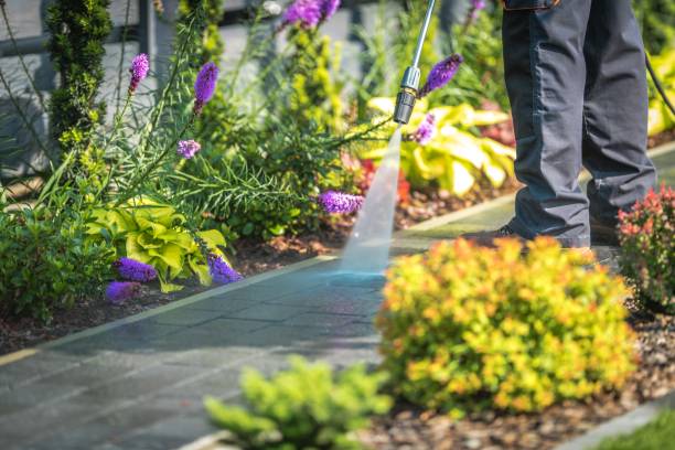 Best Patio and Deck Pressure Washing  in Morganville, NJ